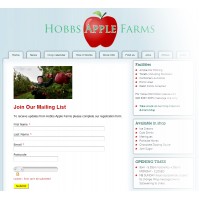 Embed sign-up forms on your company website
